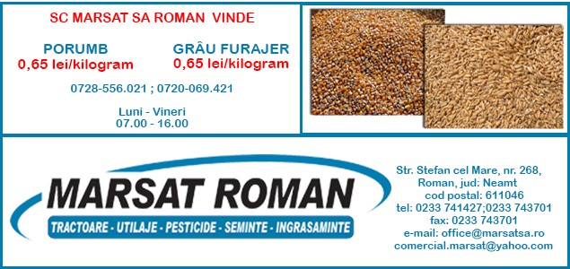 Imagine similară