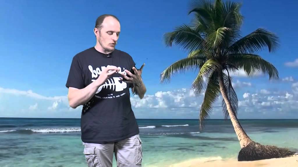 24 titluri 29.07.2015