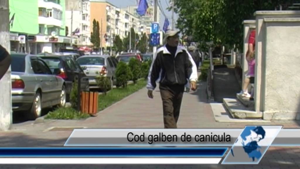 Cod galben de canicula