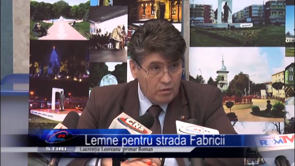 Lemne pentru strada Fabricii