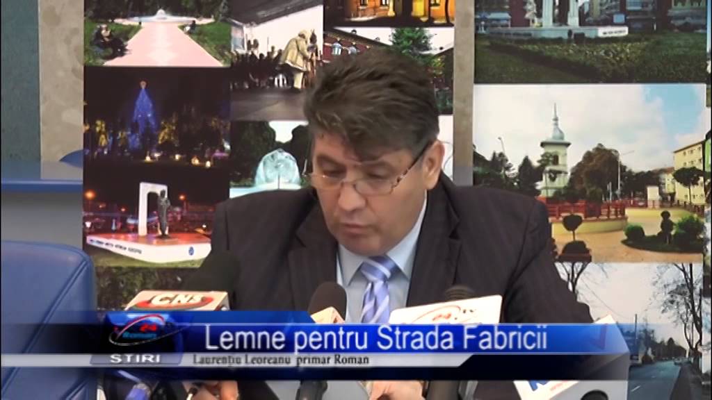 Lemne pentru Strada Fabricii