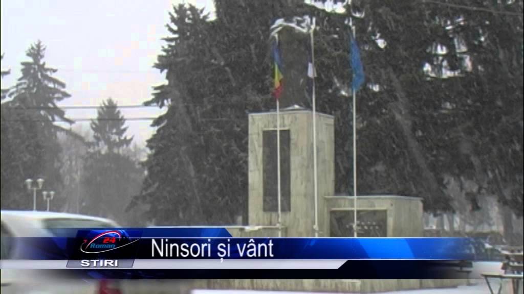 Ninsori și vânt