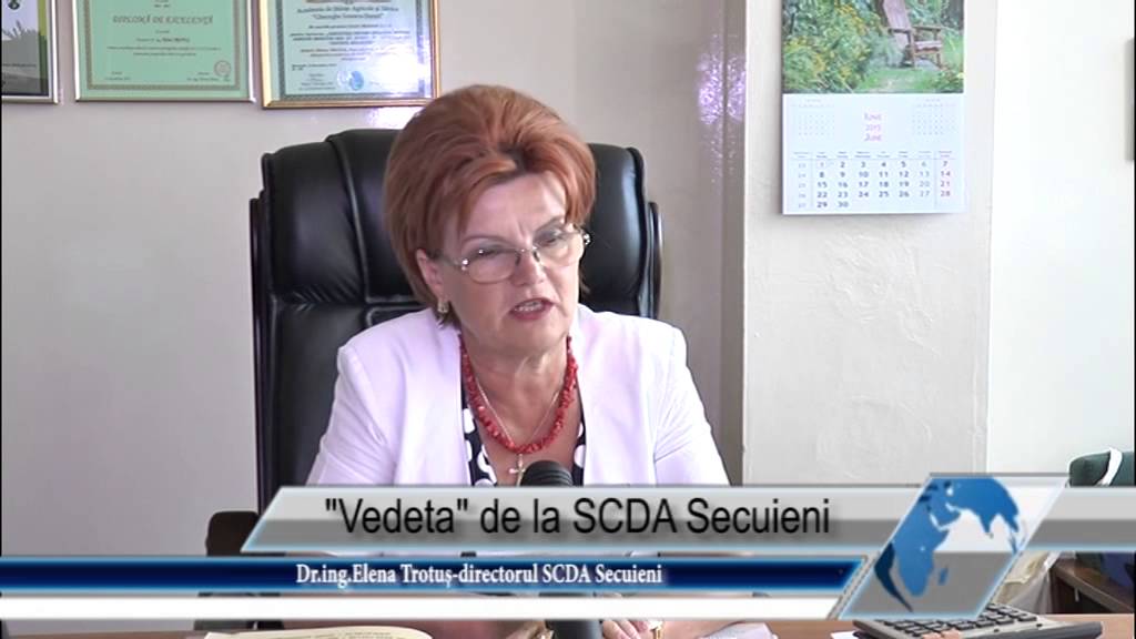 Vedeta de la SCDA Secuieni