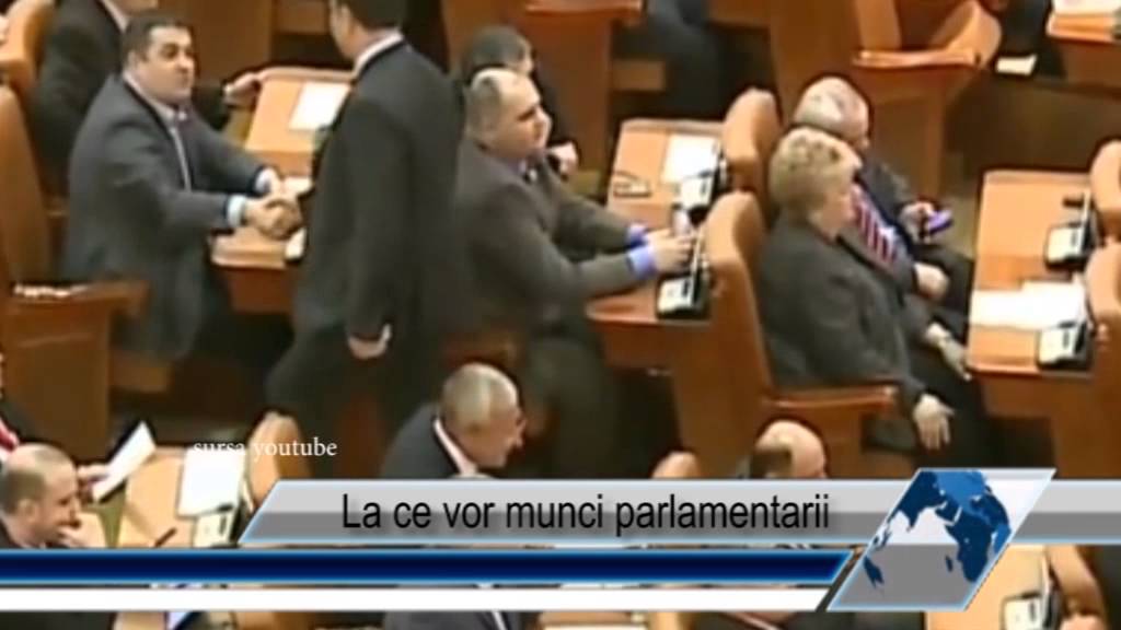 La ce vor munci parlamentarii