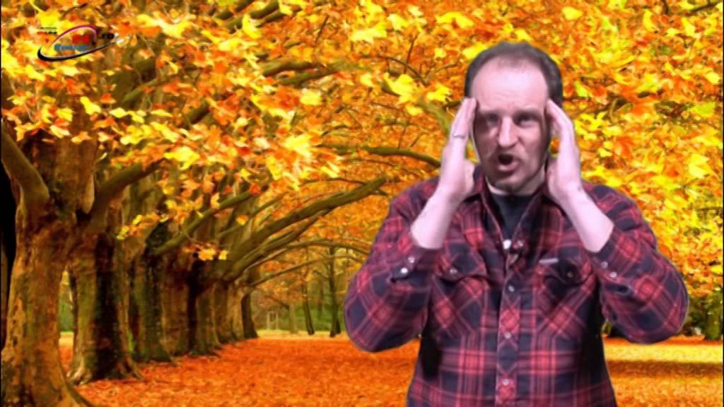 24 titluri 13.10.2015