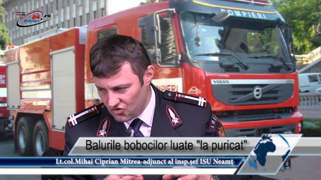 Balurile bobocilor luate la puricat