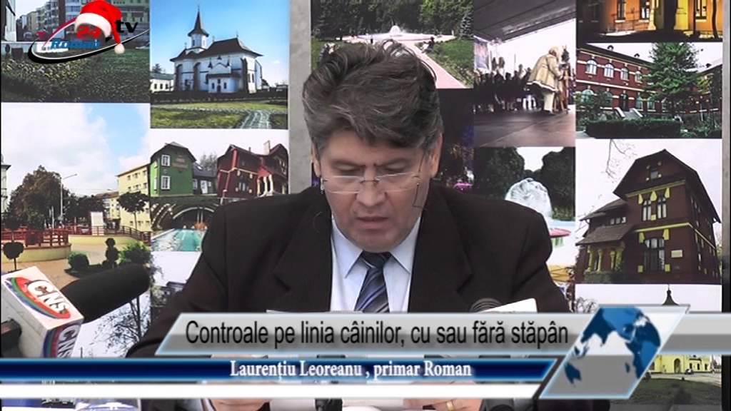 Controale pe linia câinilor, cu sau fără stăpân