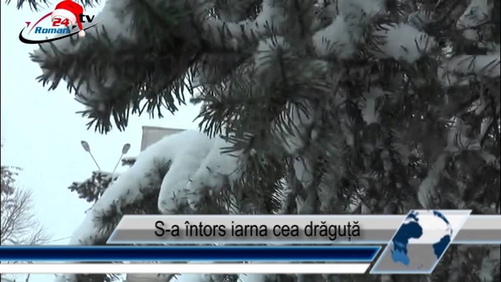 S-a întors iarna cea drăguță