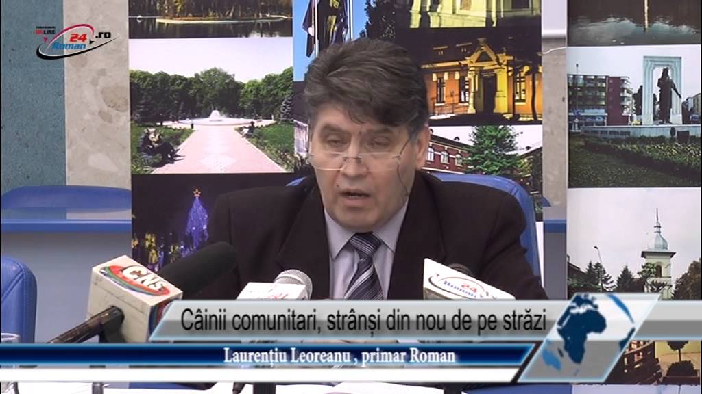 Câinii comunitari, strânși din nou de pe străzi