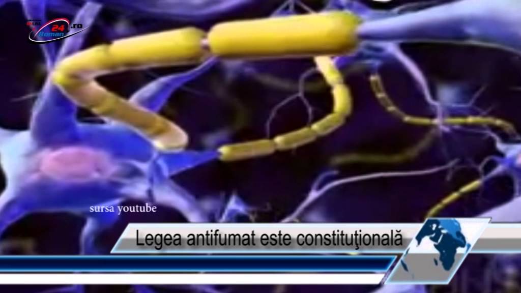 Legea antifumat este constituţională