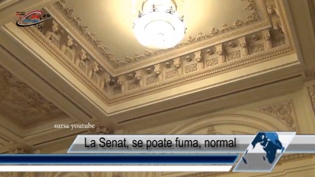La Senat se poate fuma normal