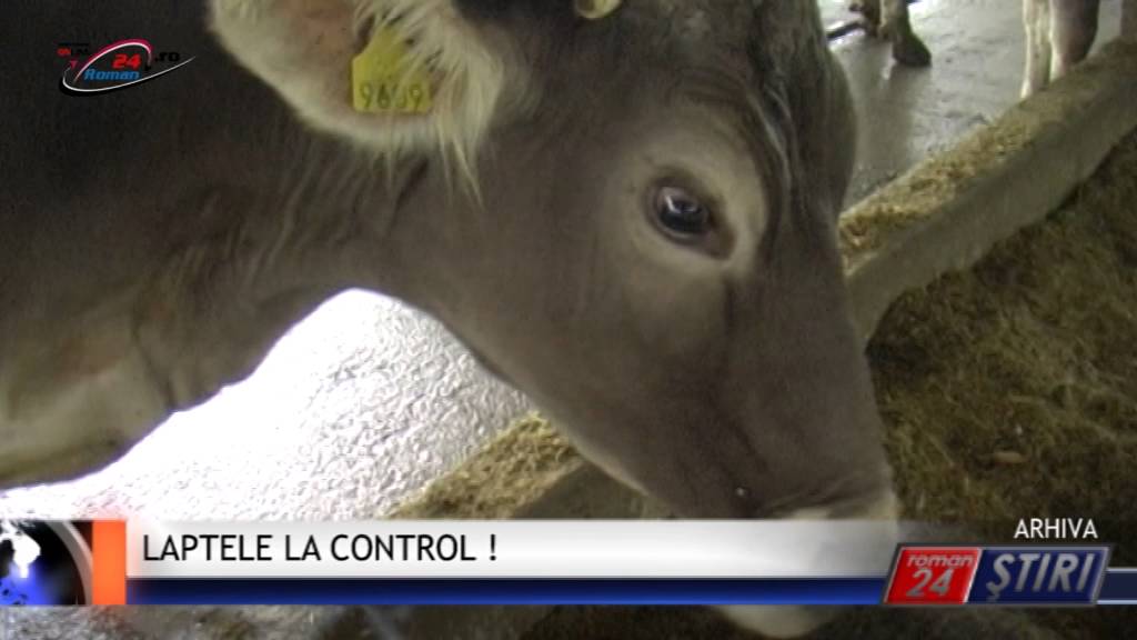 LAPTELE LA CONTROL !