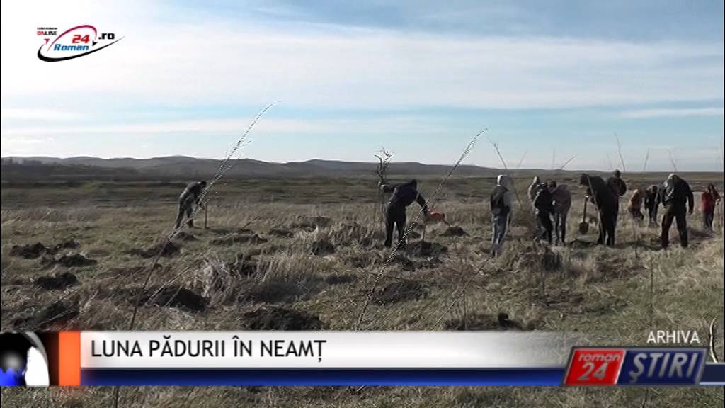 LUNA PĂDURII ÎN NEAMȚ