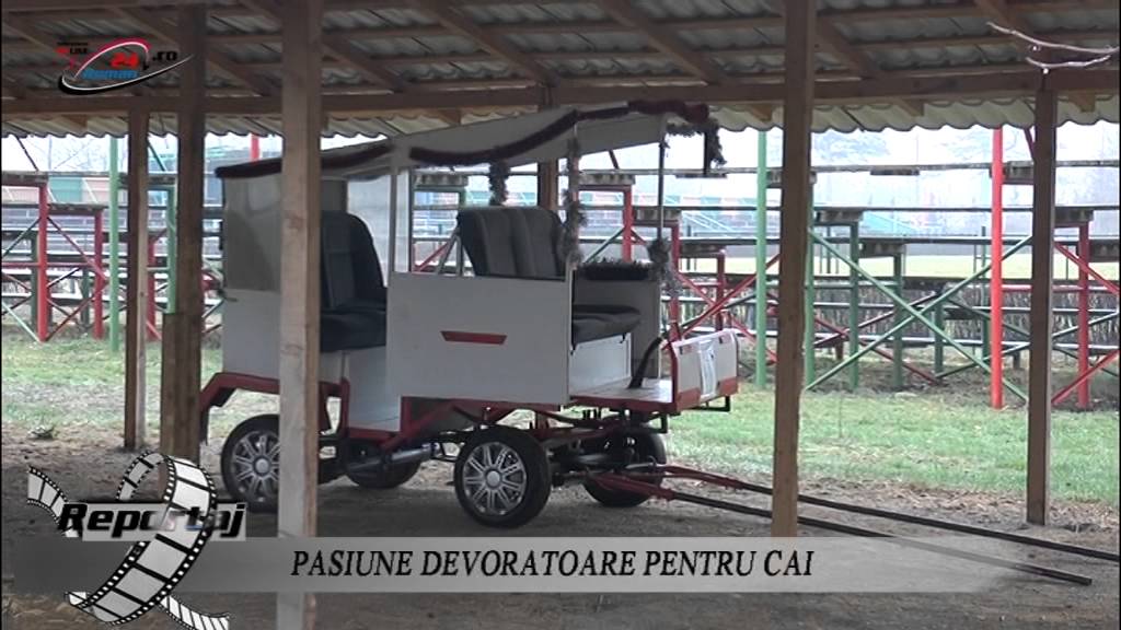 PASIUNE DEVORATOARE PENTRU CAI