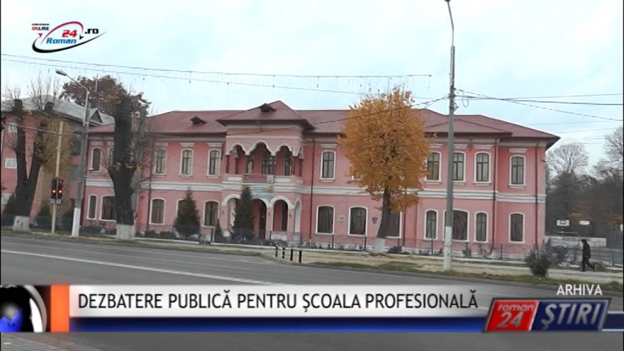 DEZBATERE PUBLICĂ PENTRU ŞCOALA PROFESIONALĂ