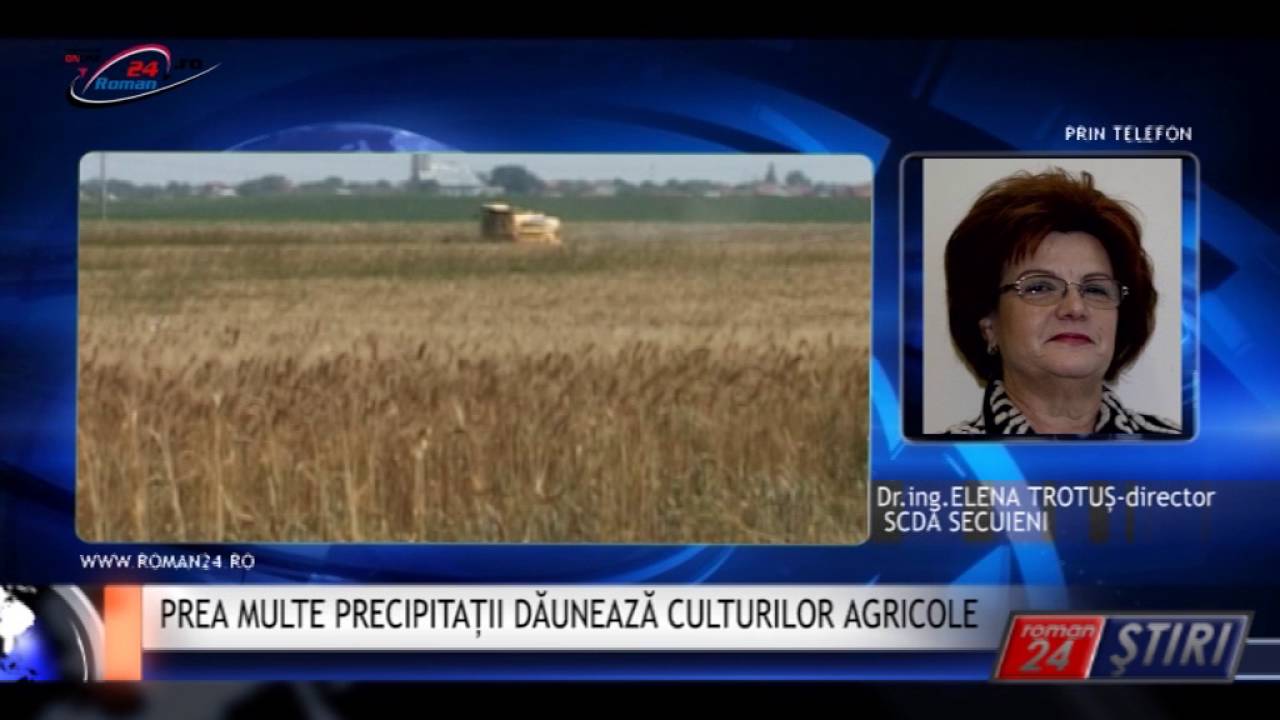 PREA MULTE PRECIPITAȚII DĂUNEAZĂ CULTURILOR AGRICOLE