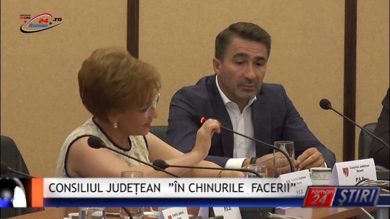CONSILIUL JUDEȚEAN ”ÎN CHINURILE FACERII”