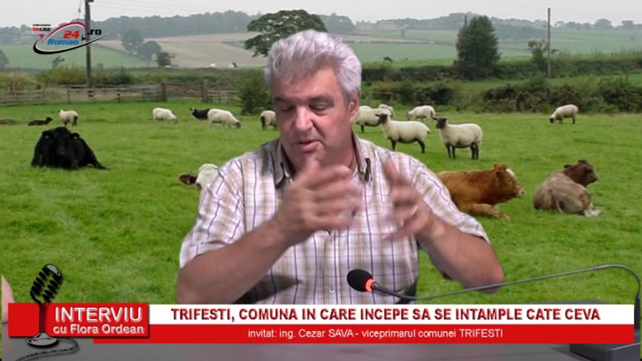 INTERVIU CU FLORA ORDEANU – 12.07.2016