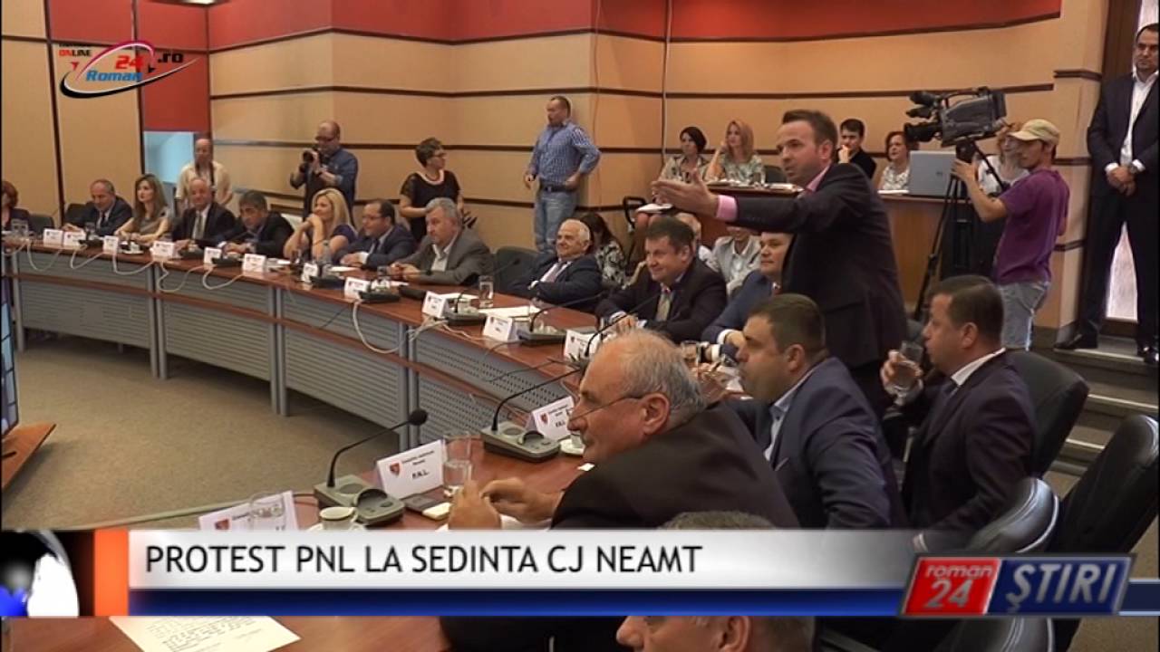 PROTEST PNL LA SEDINTA CJ NEAMT