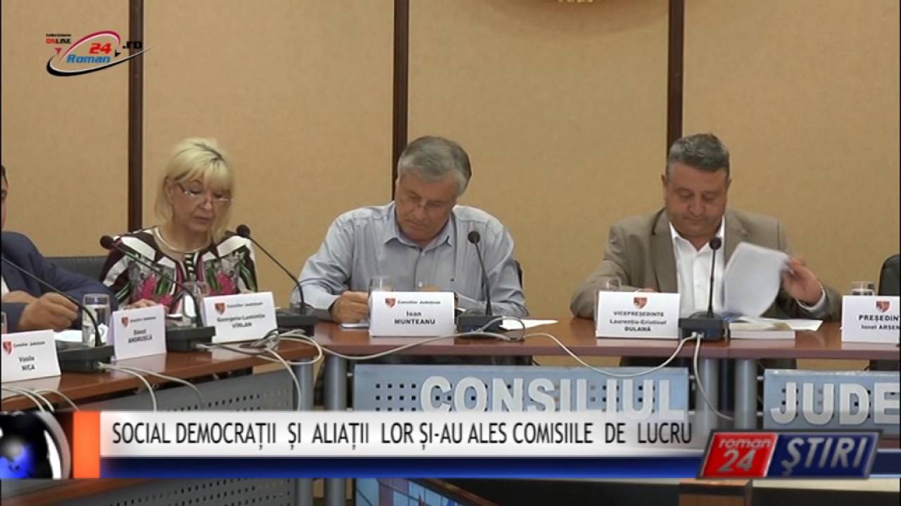 SOCIAL DEMOCRAȚII ȘI ALIAȚII LOR ȘI-AU ALES COMISIILE DE LUCRU