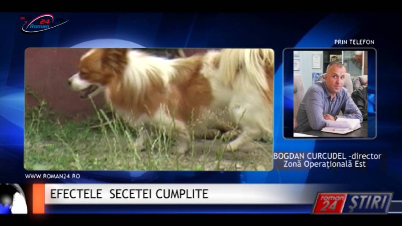 EFECTELE SECETEI CUMPLITE