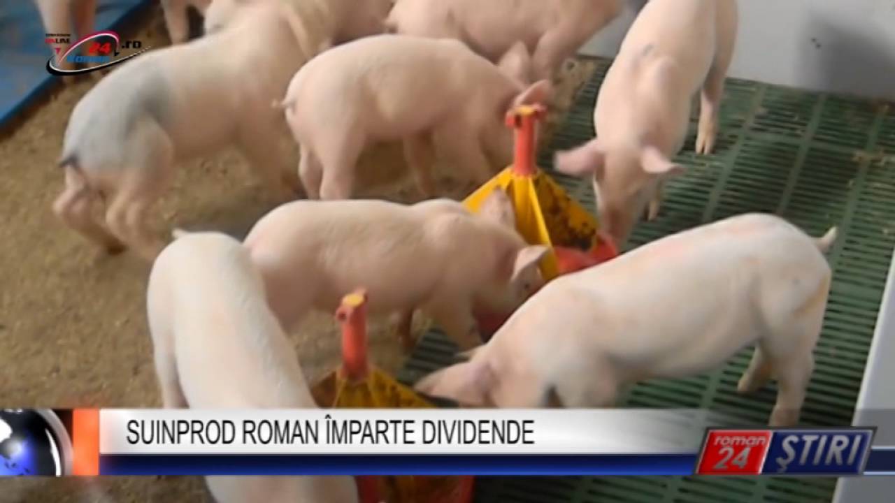 SUINPROD ROMAN ÎMPARTE DIVIDENDE