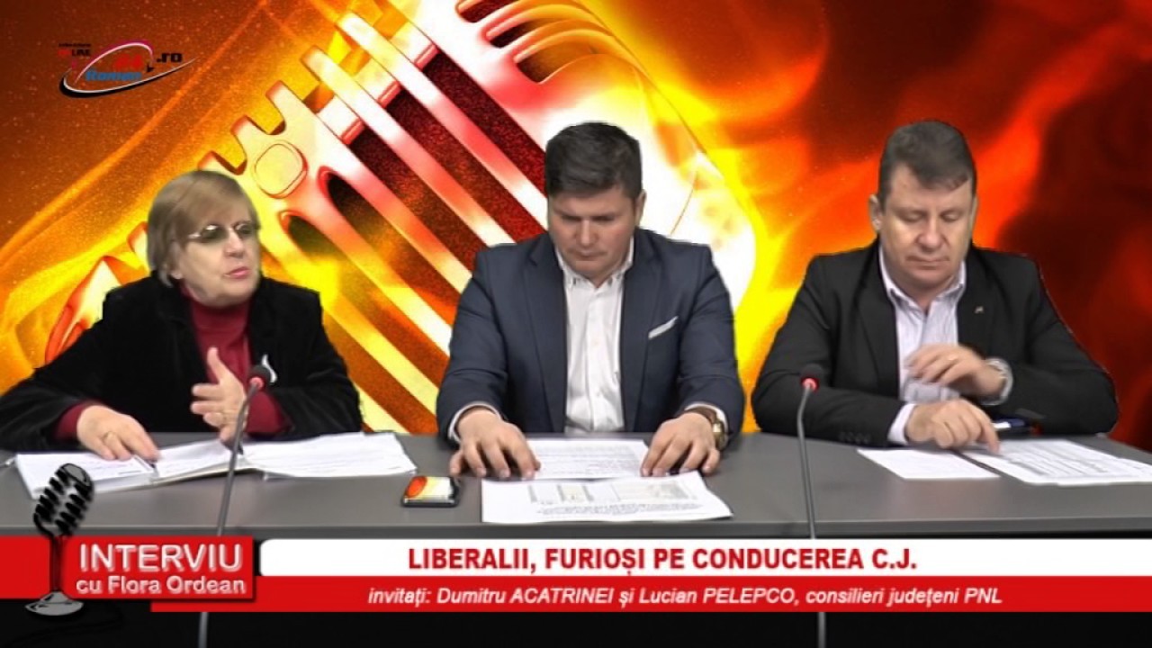 INTERVIU CU FLORA ORDEAN 15.12.2016