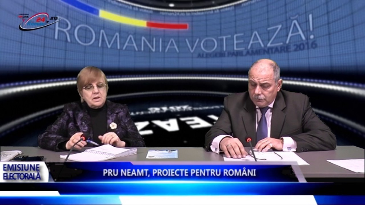 PRU NEAMT PROIECTE PENTRU ROMÂNI