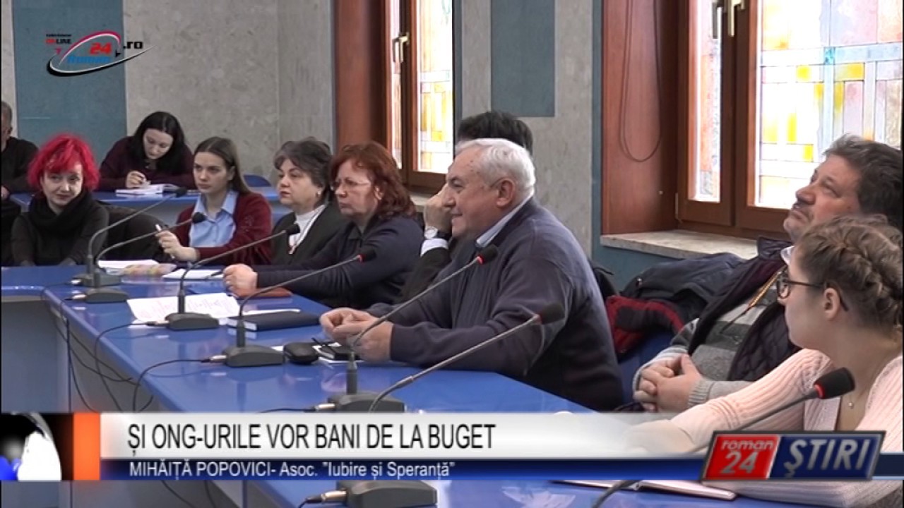 ȘI ONG-URILE VOR BANI DE LA BUGET