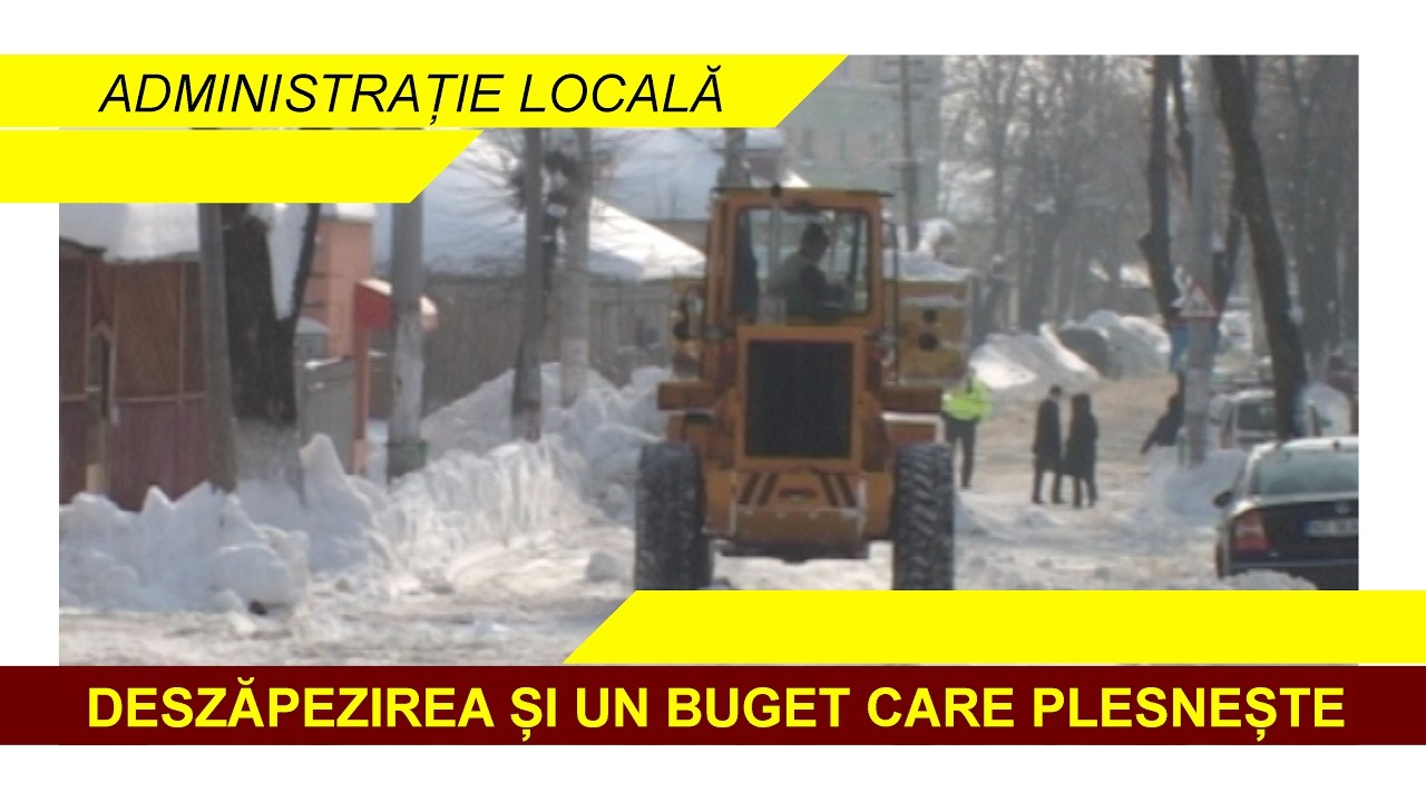 DESZĂPEZIREA ȘI UN BUGET CARE PLESNEȘTE