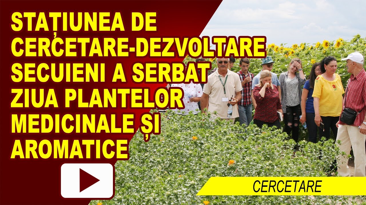 SCDA SECUIENI – SARBATOAREA PLANTELOR MEDICINALE SI AROMATICE