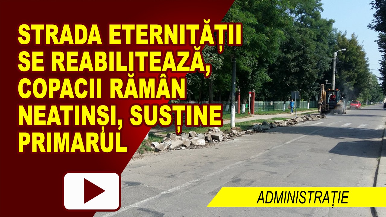 REPARAȚII STRADALE FĂRĂ TĂIERI DE COPACI