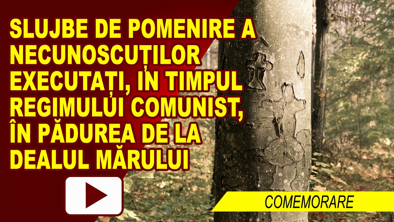 ASOCIATIA FOSTILOR DETINUTI POLITICI A COMEMORAT VICTIMILE DIN DEALUL MARULUI