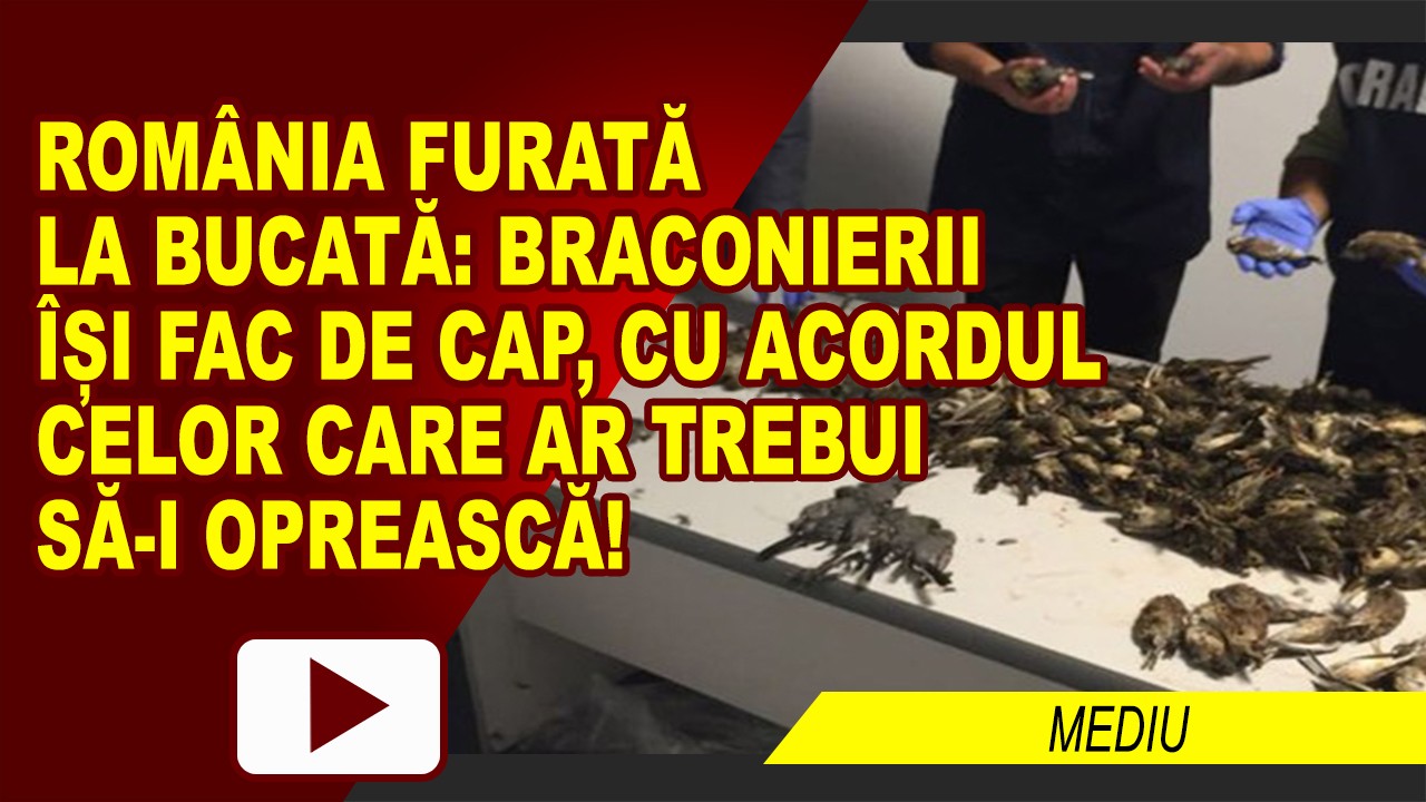 BRACONAJ