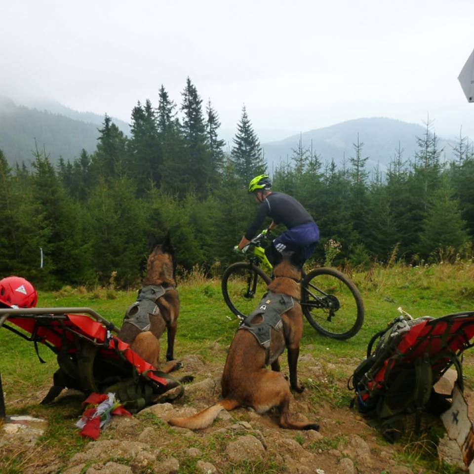 41856822_2132094077042405_6060988720616570880_n