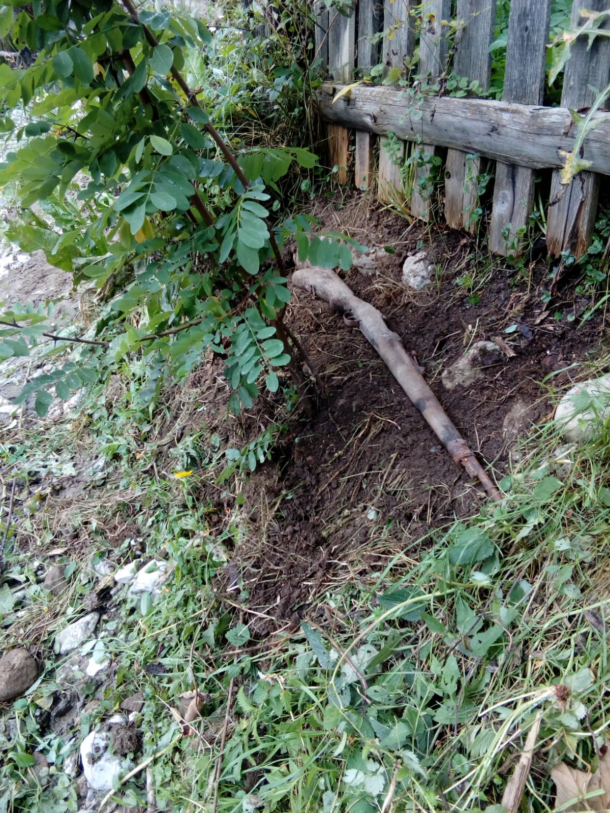 WhatsApp Image 2018-09-25 at 20.01.10