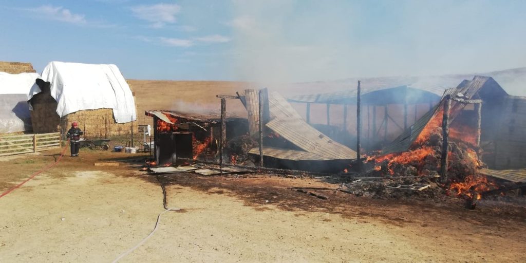 43518836_467419193756382_5987463055217262592_n