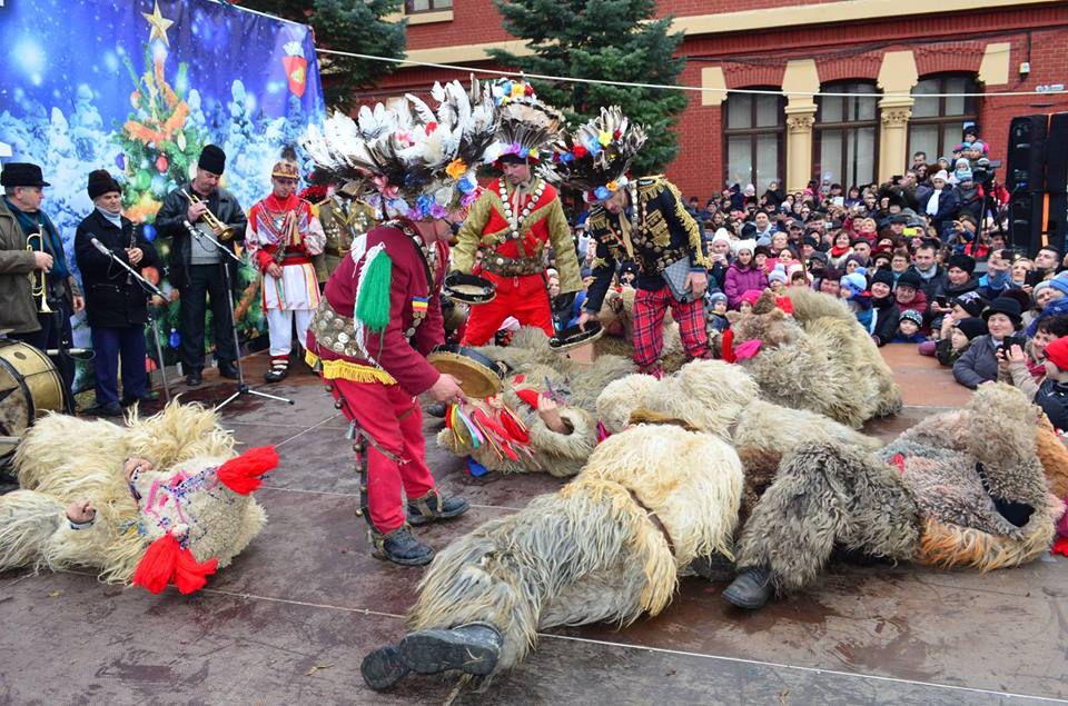 49124881_558280711250833_4444741713373691904_n