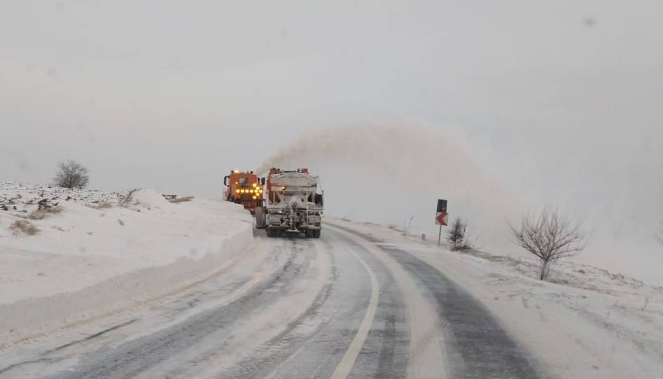 49568773_749565278758697_6291069113640943616_n