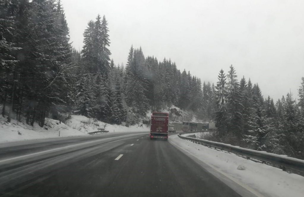 49896926_750120548703170_6705628402251988992_o