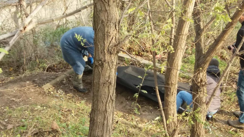 23798695_911652252324542_1268745707_o