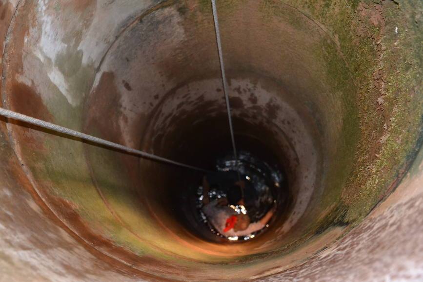 12910380_768691316565584_562506800_n_0