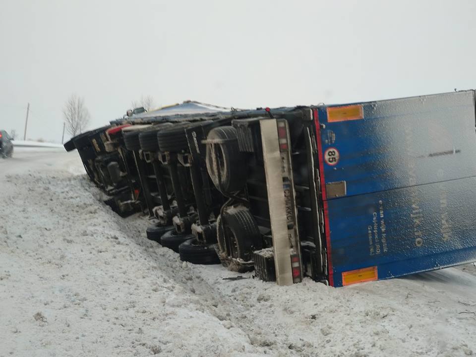 50407404_759327237782501_6851517411821092864_n