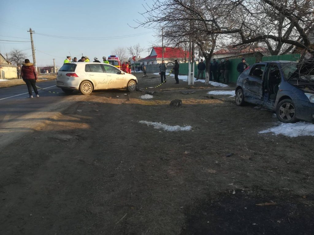 51308620_767475536967671_8097549117300932608_o