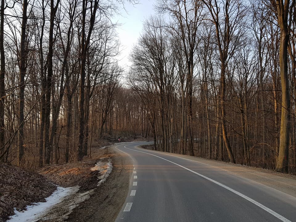 52377601_775803396134885_1869896656074309632_n