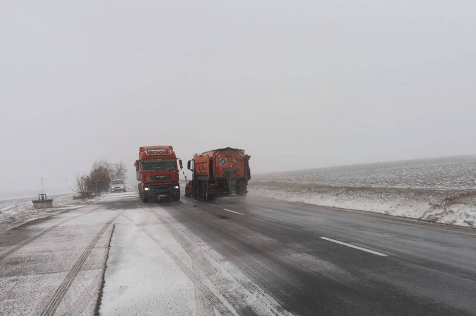 51446910_776524396062785_5963040518257508352_n