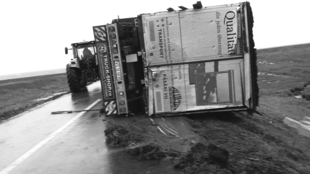 52646446_776471126068112_5859712560122560512_o