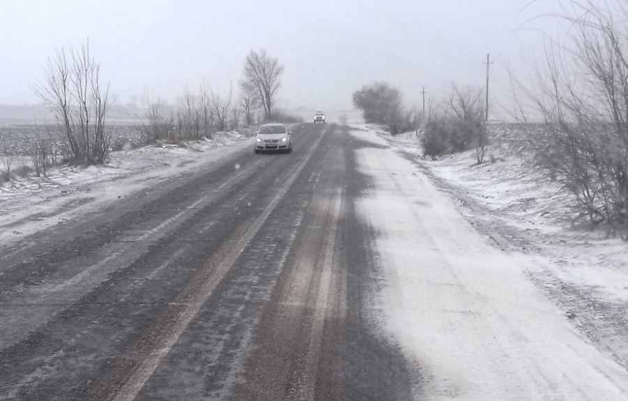 52755171_776541382727753_5835405686632087552_n