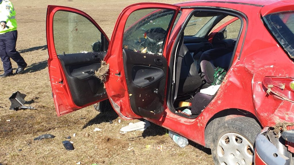 53270790_578132785984694_4144152233820291072_n