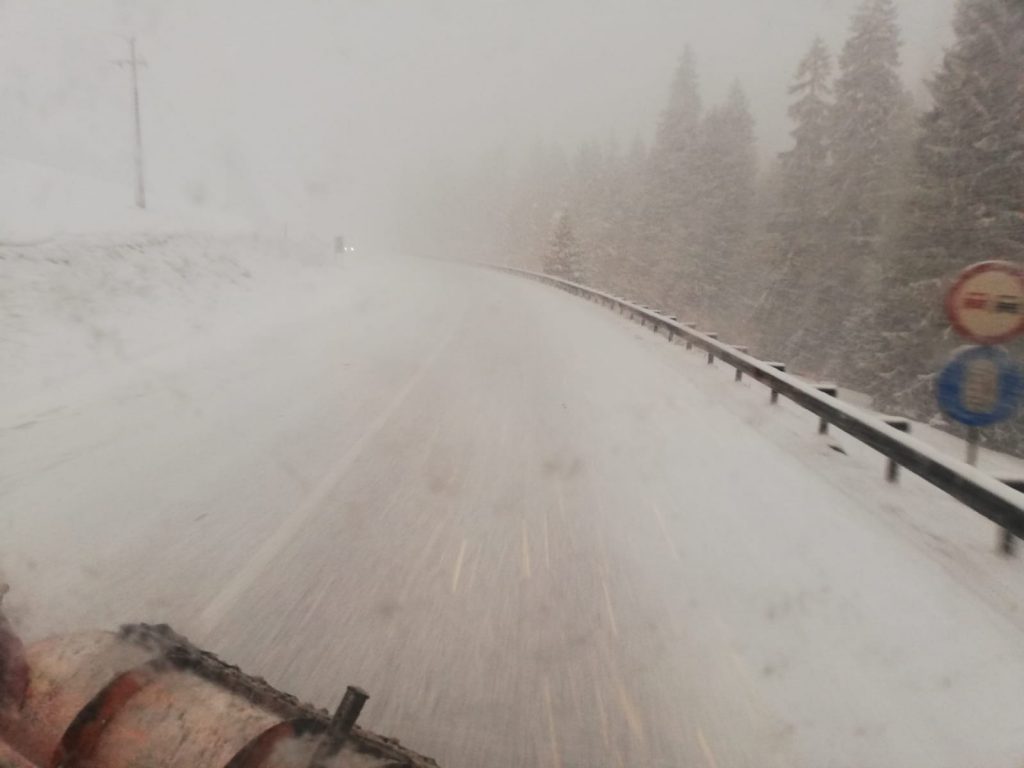 53100533_783146918733866_8569551875509059584_o